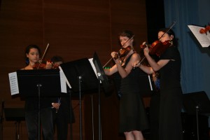 Young Viennese Soloists (Austria)